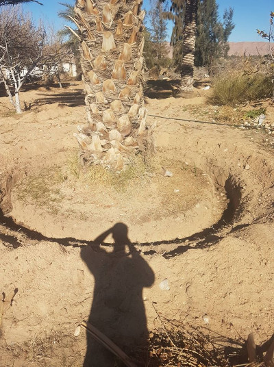 ecotube olives Tunisia circular installation